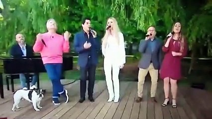 Marco Paulo “atacado” pelo seu cão durante direto de “Alô Marco Paulo”