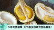 【新闻线】今年吃贵榴梿  天气害虫因素致价格看涨！