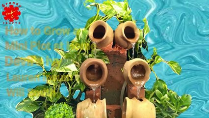 How to Grow a Money Plot at Home | Devil's ivy | Beautifu Home | Granny Crafts