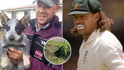 Andrew Symonds' Dog Refused To Leave Him ఆ కుక్క చేసిన పనికి కళ్లల్లో నీళ్లు తిరిగాయి