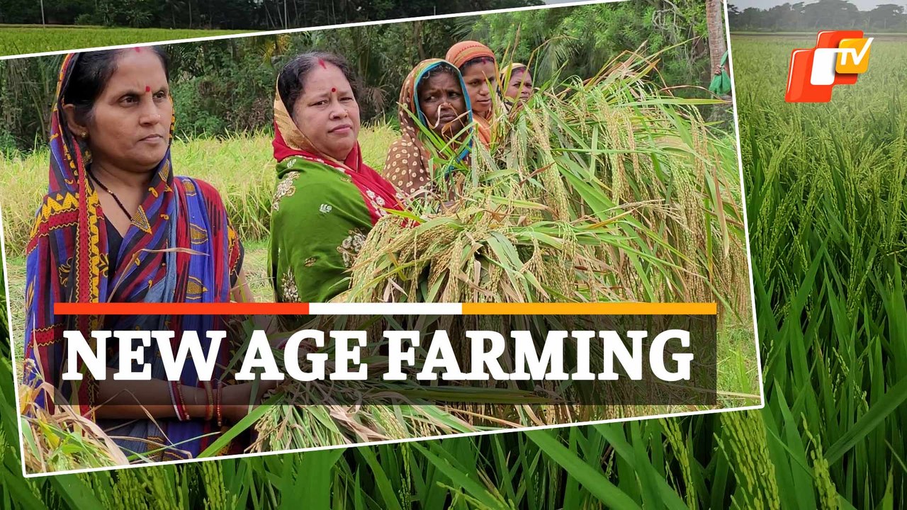 Women Farmers Leading Way In Vermicompost, Organic Farming Adoption