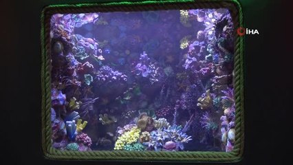 Dünyada tünel içerisinde inşa edilen ilk akvaryum olacak