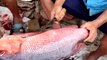 Red Snapper Fish Cutting By Hand | Fasted Fish Cutting Skills