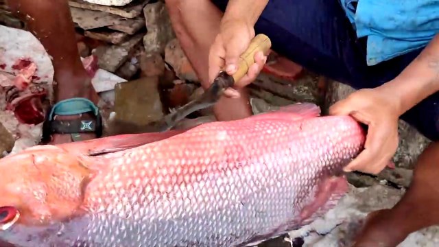 Red Snapper Fish Cutting By Hand | Fasted Fish Cutting Skills