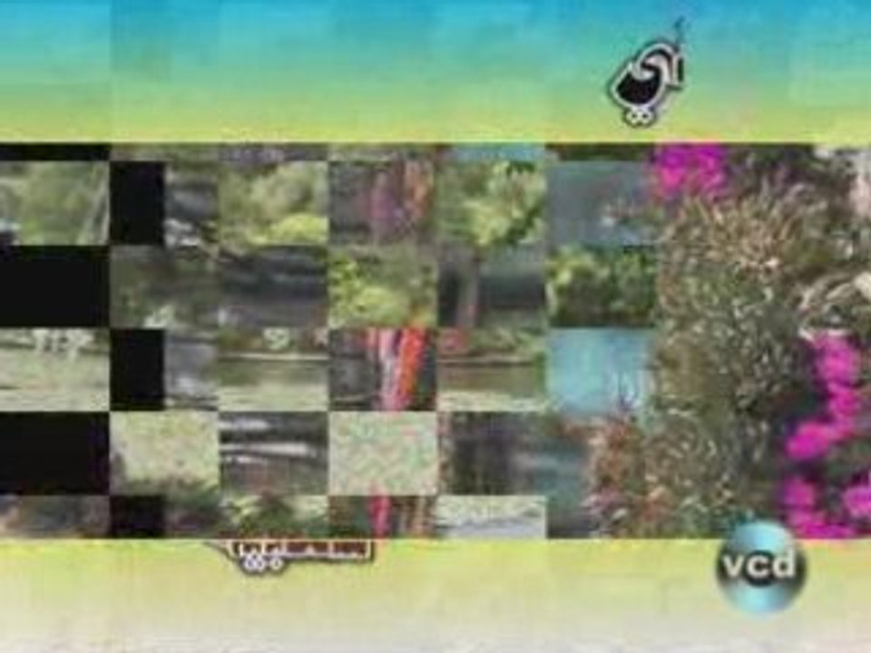 compilation sahraouiya 10