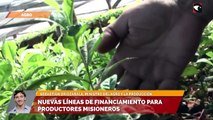 Nuevas líneas de financiamiento para productores misioneros