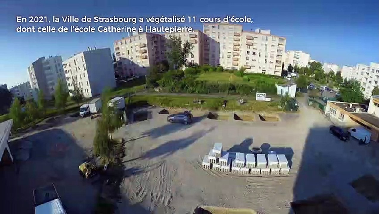 Strasbourg végétalise ses cours d'école : l'exemple de l'école Catherine