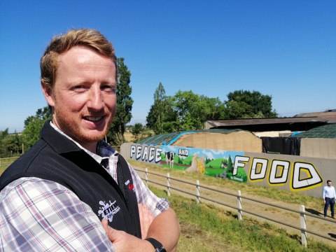 Sarthe : dans cette ferme, on réalise une fresque pour prôner la liberté d'élevage