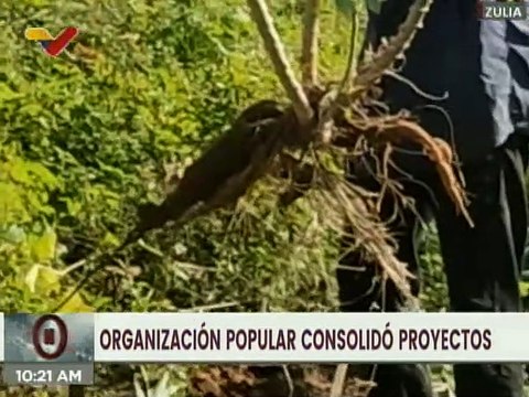 Zulia | Consejo Federal de Gobierno financia proyectos en comunidades indígenas de San Francisco