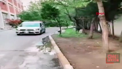 Polis otosuyla video çekti; Sınır dışı edilecek