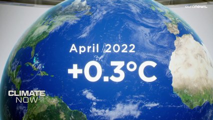 In che modo i parchi eolici gesticono la variabilità del vento per produrre energia?