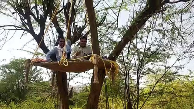 पेड़ों पर मचान बनाकर बैठे रहे वनकर्मी, वाटर हॉल पर नजर