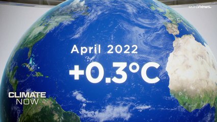 How do wind farms manage climate change variability?