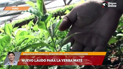 Nuevas líneas de financiamiento para productores misioneros