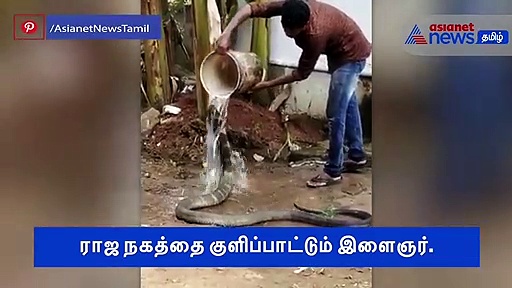 சுட்டெரிக்கும் வெயிலில் குளியல் போடும் ராஜ நாகம்..! இளைஞரின் ஆபத்தான செயல் வீடியோ..