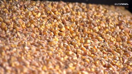 Lebensmittelpreise: Ungarn spürt die Folgen des Ukraine-Kriegs