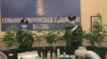 Ragusa - Spacciatori di droga col Reddito di Cittadinanza: 11 arresti (16.05.22)