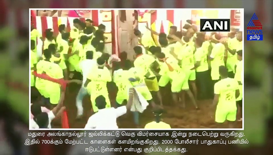 மாடுபிடி வீரரை சுழற்றி வீசி எறிந்த காளை.. ஆட்டம்காட்டும் அலங்காநல்லூர் ஜல்லிக்கட்டு..! வீடியோ