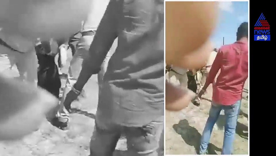 டிஎஸ்பி,யை வெட்டிய ரௌடியை விரட்டிப் பிடித்த போலீஸ்..! மரண அடி கொடுத்து இழுத்துச் செல்லும் வீடியோ..