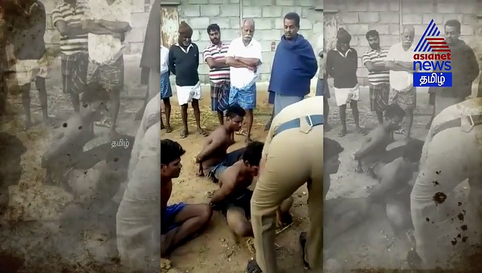 "பசுமாட்டையே"...நாசம் செய்த 3 காமகொடூரன்கள் ...! திருப்பூர் கோழிப்பண்ணையில் நடந்த கோர சம்பவ வீடியோ..!