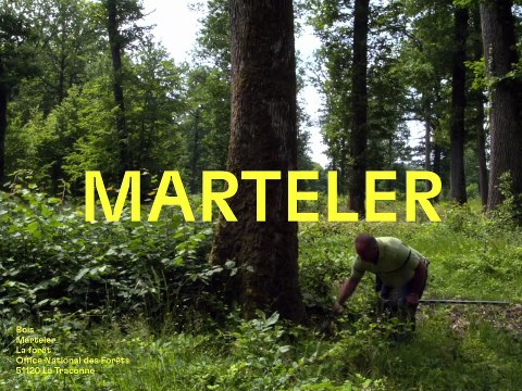 BOIS / MARTELER / Ressources. Filmer la matière, révéler les savoir-faire