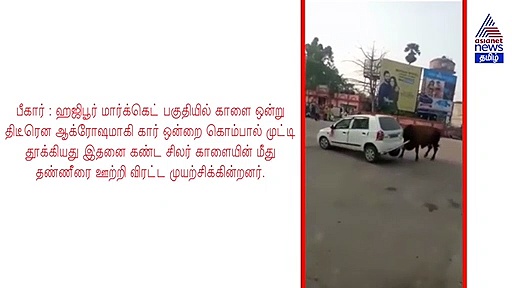 ஆக்ரோஷத்தில் காரை தூக்கி பந்தாடிய காளை.. சாலையில் நடந்த பரபரப்பு வீடியோ..!