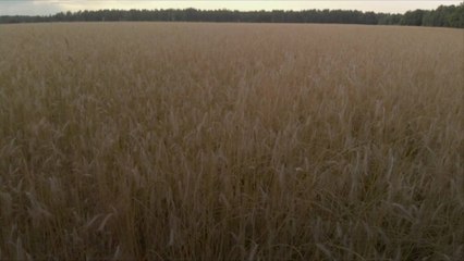 EU and US Partner to Ensure Food Security and Access to Fertilizer