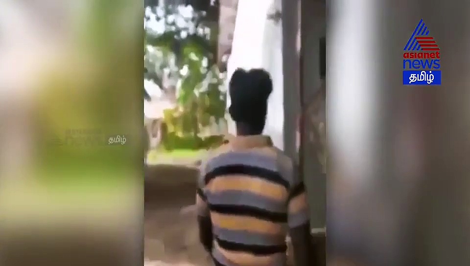 தன்னந்தனி தோப்புல.. சத்தம் போடாம அடி வாங்கிய காம கொடூரன்.. வீர தமிழச்சியின் வைரல் வீடியோ