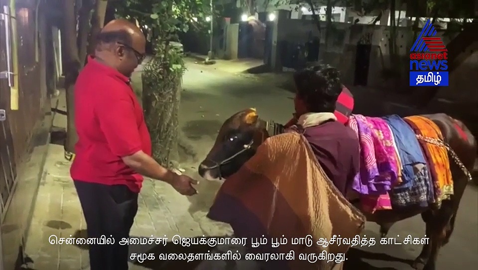 பூம் பூம் மாட்டிடம் தலையில் முத்தம் வாங்கிய அமைச்சர் ஜெயக்குமார்... வீடியோ