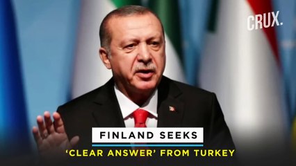 Download Video: Finland, Sweden Confirm NATO Bid Amid Putin Warning l Russian Missiles Hit Military Targets In Lviv