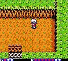 Blaster Master: Enemy Below online multiplayer - gbc