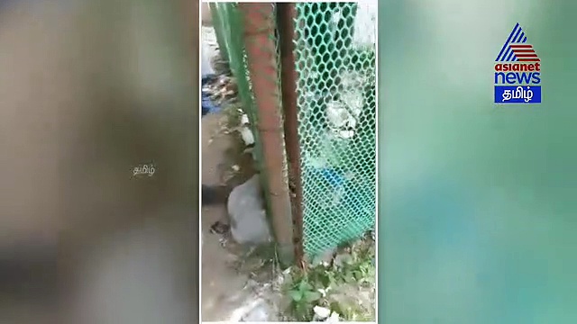 குடியிருப்பு பகுதியில் ஆந்தை..! பாதுகாப்பாக மீட்ட பொதுமக்கள் வீடியோ..