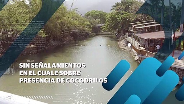 Faltan señalamientos preventivos sobre la presencia de cocodrilos | CPS Noticias Puerto Vallarta