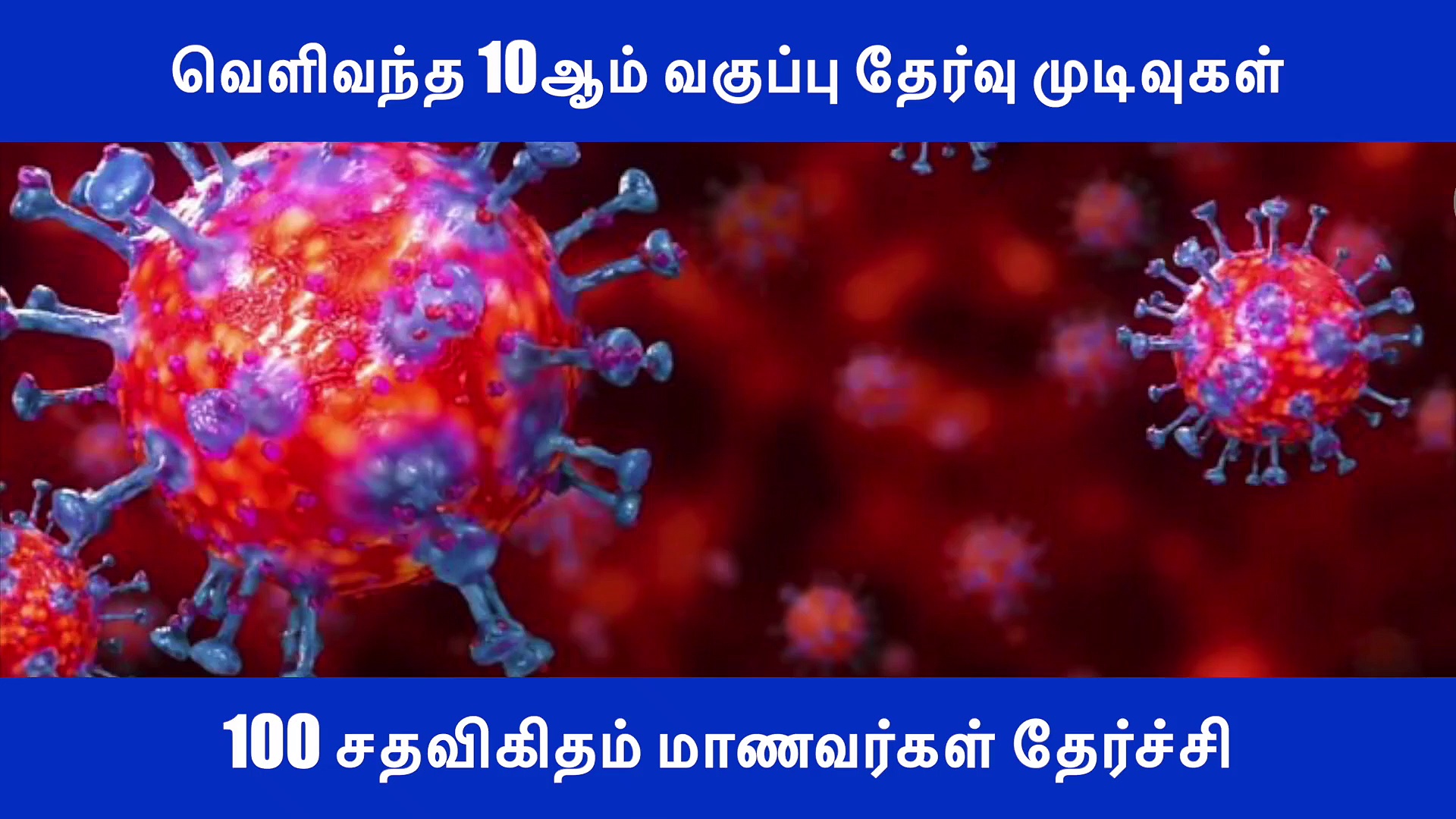 100 சதவிகிதம் தேர்ச்சி.. மாணவர்கள் உற்சாகம்..! வீடியோ