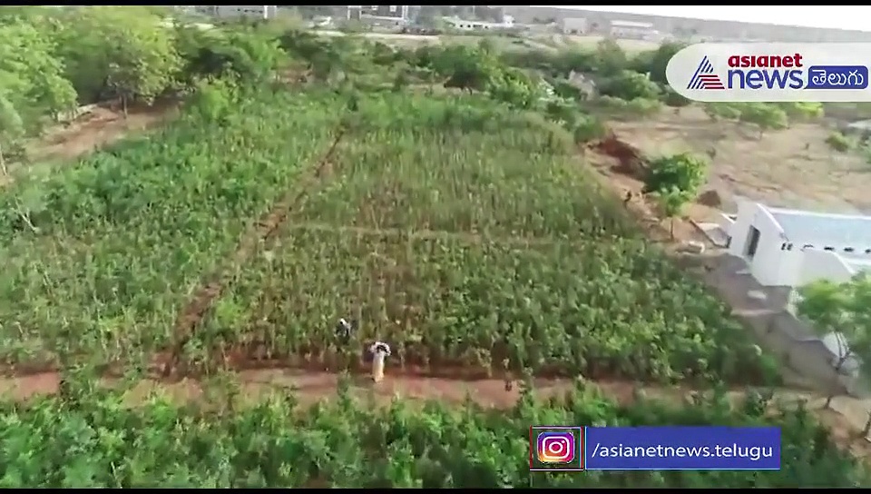 తెలంగాణకు హరితహారం : అడవిని తలపిస్తున్న కరీంనగర్ కమీషనరేట్...