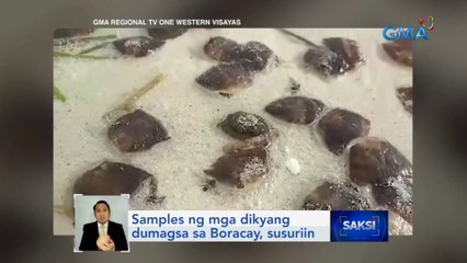 Samples ng mga dikyang dumagsa sa Boracay, susuriin | Saksi