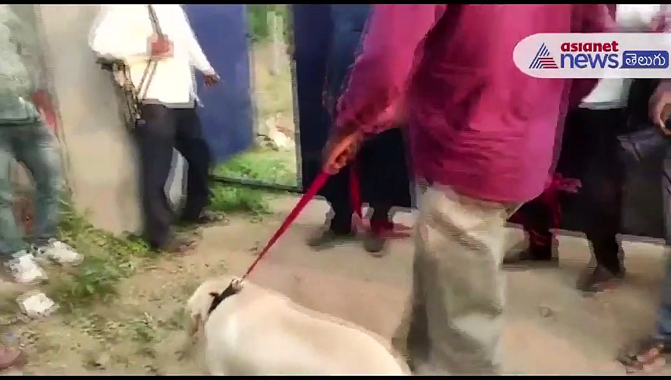 అసలేమైంది... 9 మంది మరణం వెనక వాస్తవం....?