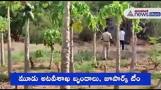 చిలుకూరు అడువుల్లోకి పారిపోయిన చిరుత.. అటవీశాఖ నిర్థారణ..