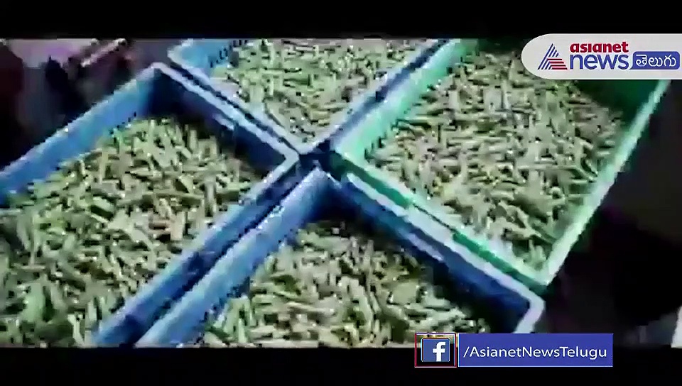 ఐదున్నర కోట్ల మంది కడుపులు నింపిన అన్నపూర్ణ క్యాంటిన్లు..