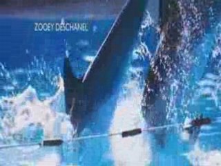 Salut merci encore pour tout le poisson