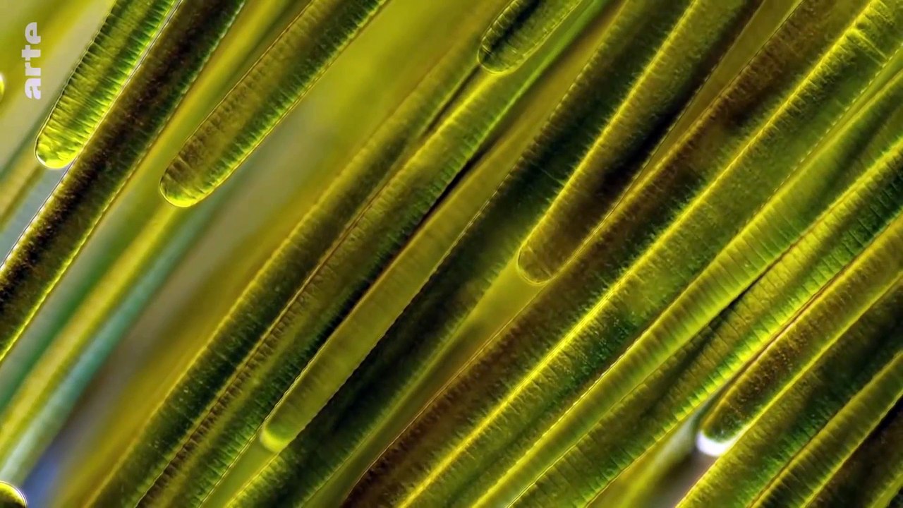 Les îles de la dernière chance