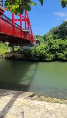 Helping a "Lost Duckling" Find Its Way Home