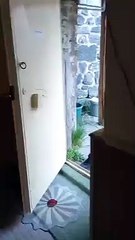 Tarihi camide rezalet: İbadethaneleri de istila ettiler! Burada namaz kılınır mı?