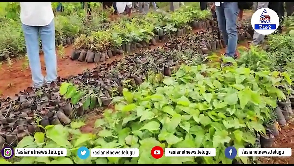 సొంతూరులో పల్లెనిద్రలో పాల్గొన్న మంత్రి సత్యవతి రాథోడ్