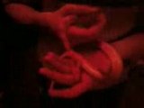 Le serpent et moi