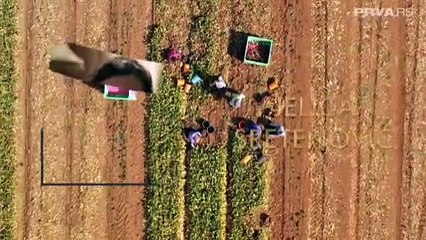 Kolo srece - 178 epizoda NOVO