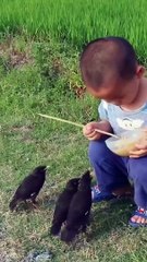 Give a like to the bird for how beautifully the baby is feeding