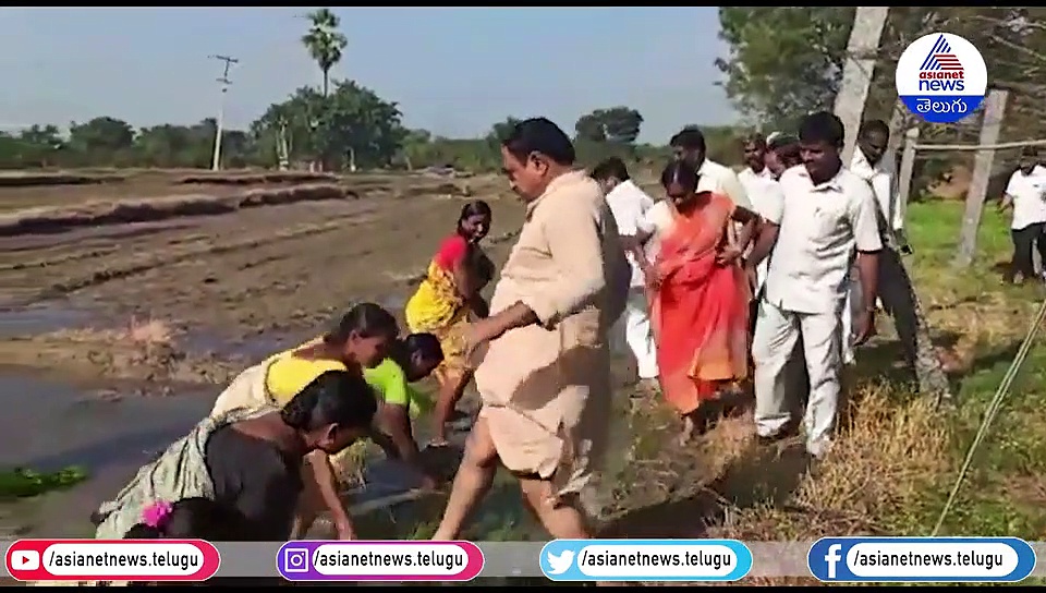 ట్రాక్టరెక్కి పొలం దున్నిన మంత్రి ఎర్రబెల్లి