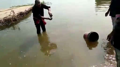 video news : లోకేష్ క్యాంపులో ఇసుక అక్రమార్జన..మండిపడ్డ పృథ్వీ