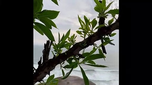 Recibe la gracia y la bendición de Dios con esta oración Dios es mi Guía